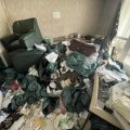 appartement syndrome de Diogène