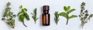 désinfection à base d'huiles essentielles