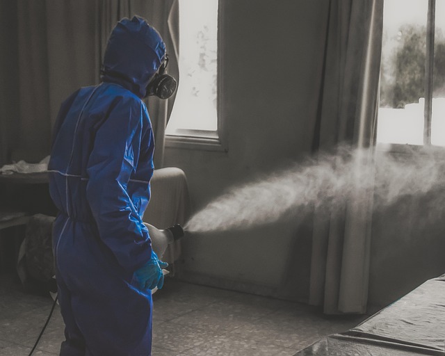 Solution Rapide et Efficace pour Évacuation Encombrants Garage à Trappes